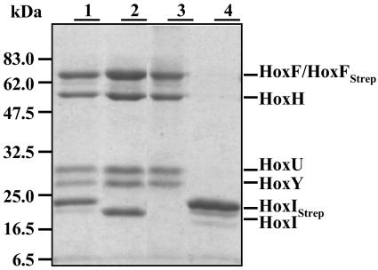 FIG. 6.