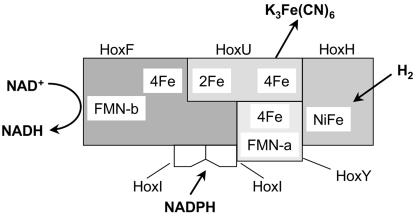 FIG. 8.