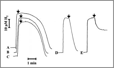 FIG. 5.