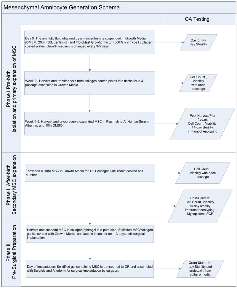 graphic file with name nihms57688f3.jpg