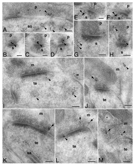 Figure 1.