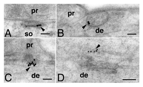 Figure 2.