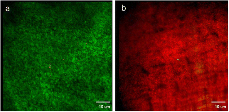 Figure 6.