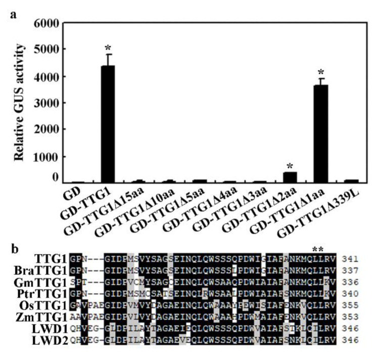 Figure 6