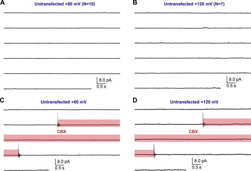 Figure 6.