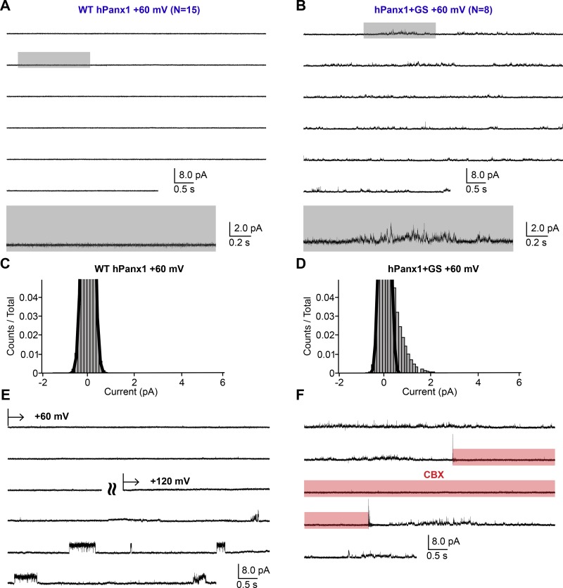 Figure 5.