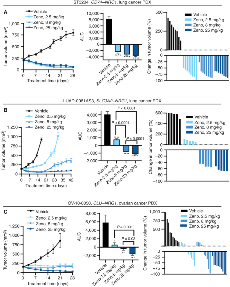 Figure 3. Zeno induces tumor regression in PDX models of NRG1-rearranged cancers. Mice bearing PDX tumors were treated with the indicated doses of Zeno once weekly. For each model, the figure shows the tumor volume (left), AUC (middle), and the change in volume of individual tumors at the time representative of the AUC analysis (right). A, ST3204 PDX model (lung cancer; eight mice per group). AUC analysis was performed for the time period ending on day 28. Tumor growth in Zeno-treated animals was significantly lower than that in vehicle-treated animals as measured by AUC (****, P < 0.0001), with no significant difference between the AUC values of the Zeno-treated groups (P > 0.05). B, LUAD-0061AS3 PDX model (lung cancer; five mice per group). AUC analysis was performed for the time period ending on day 17. ****, P < 0.0001 compared with the vehicle-treated group. C, OV-10-0050 PDX model (HGSOC; 10 mice per group). AUC analysis was performed for the time period ending on day 21. *, P = 0.03; **, P = 0.006; ***, P = 0006 compared with the vehicle-treated group. Results in all left and middle plots represent mean ± SEM. Administration of Zeno had no adverse effect on animal weight during the course of treatment (Supplementary Fig. S4).