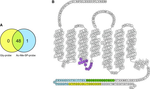 Fig. 8.