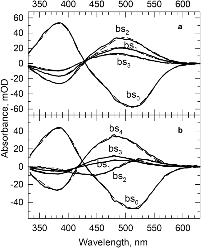 Figure 7