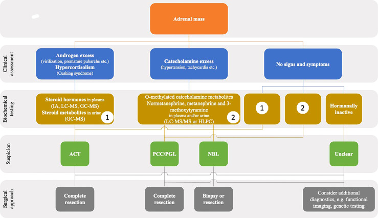 Figure 2