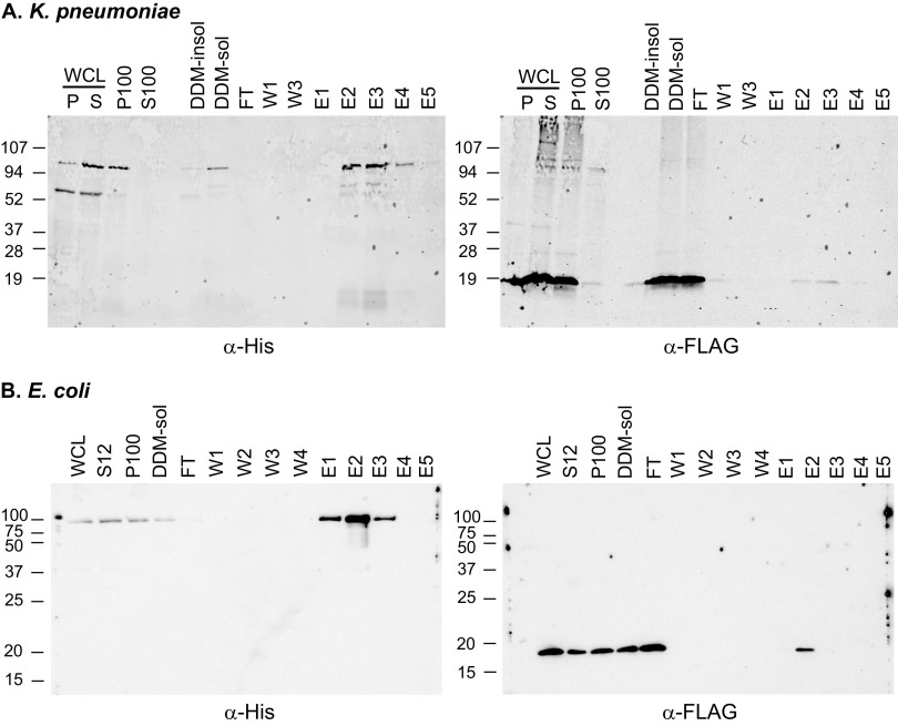 FIG 5