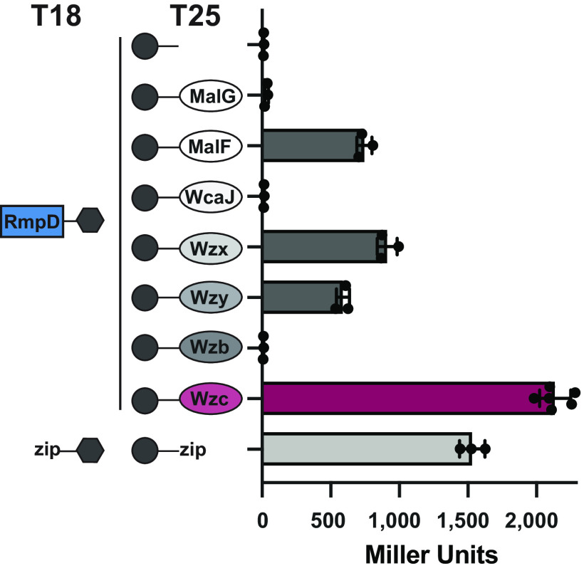 FIG 4