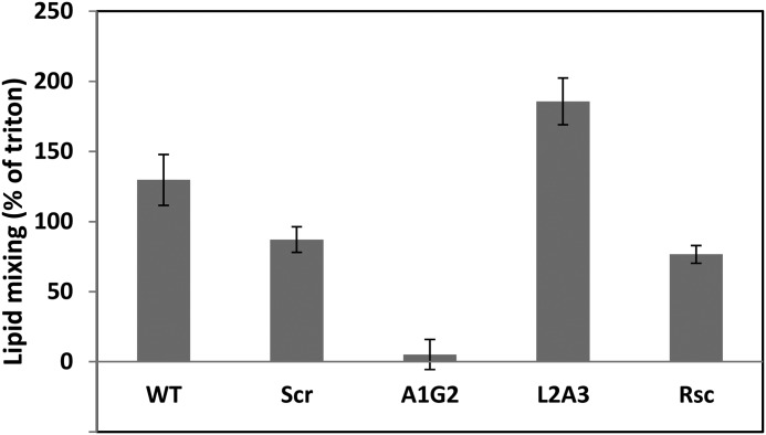 FIGURE 6.