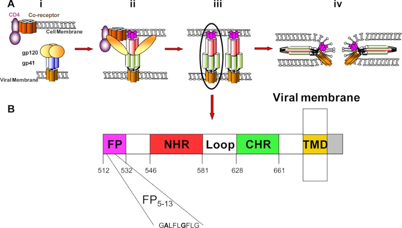 FIGURE 1.