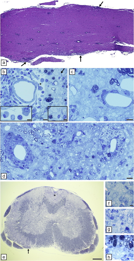 Fig. 10