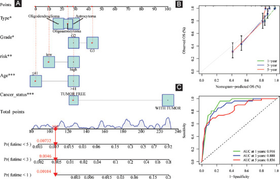 FIGURE 11