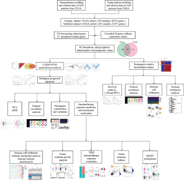 FIGURE 1