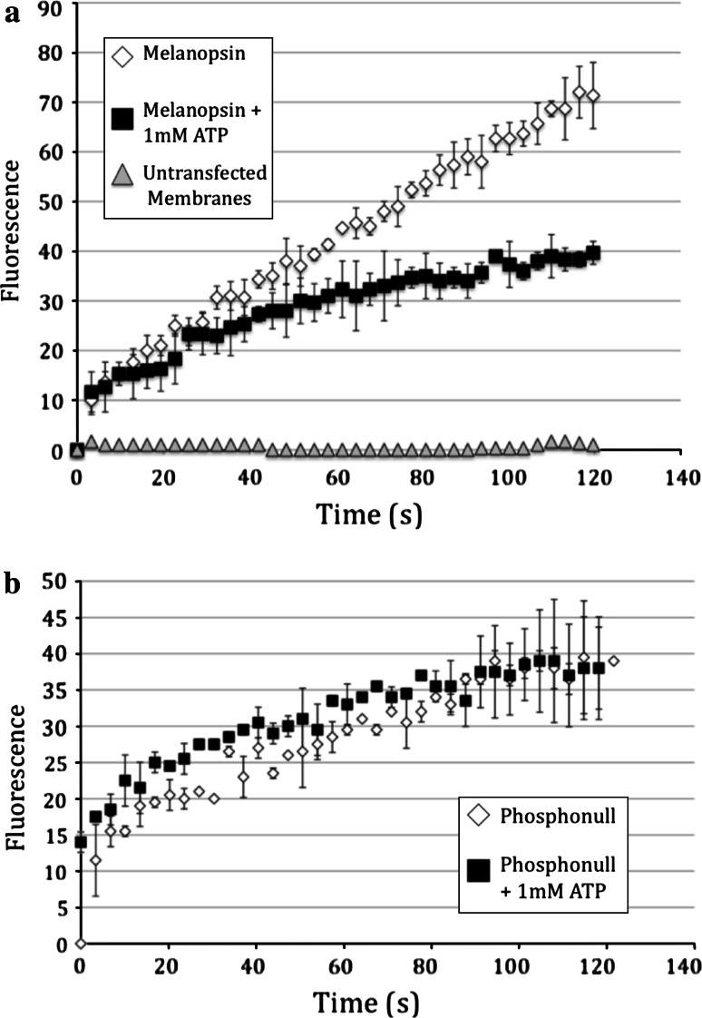 Fig. 4