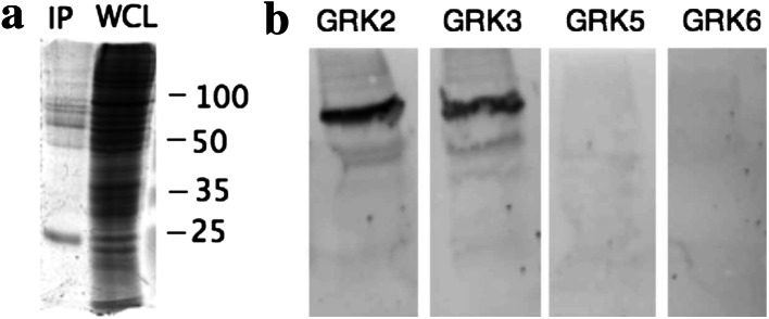 Fig. 6