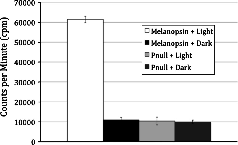 Fig. 2