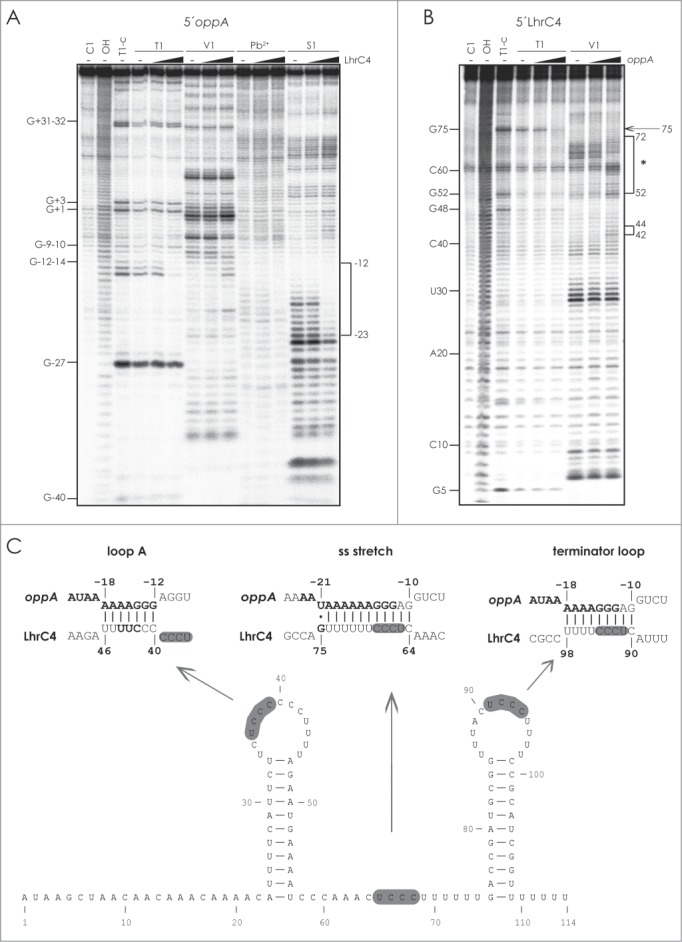 Figure 3.