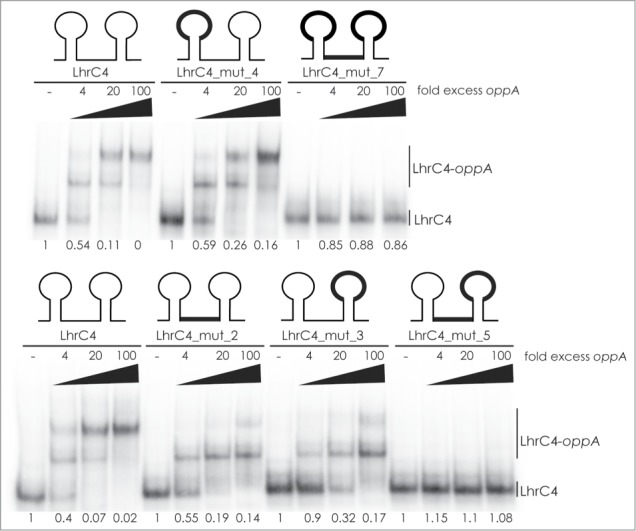 Figure 4.