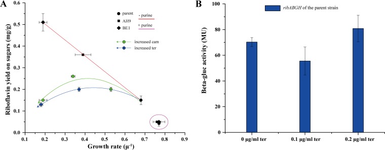 FIG 4 