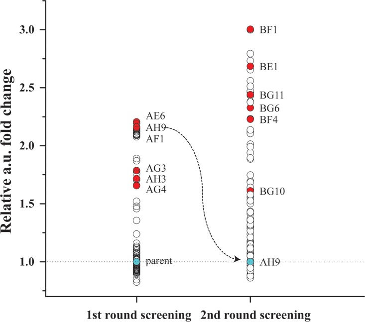 FIG 2 