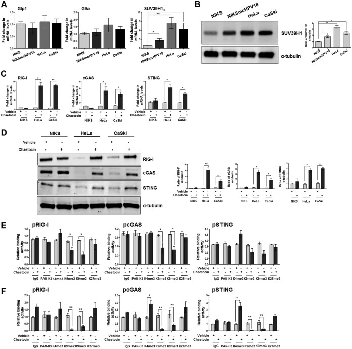 FIG 1