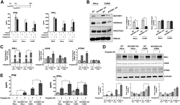 FIG 2