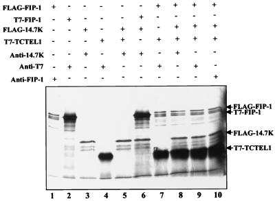 FIG. 4