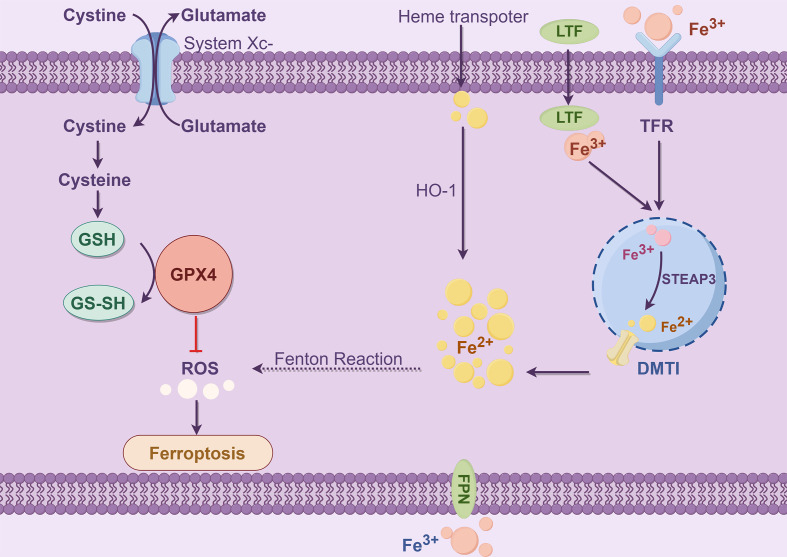 Figure 3