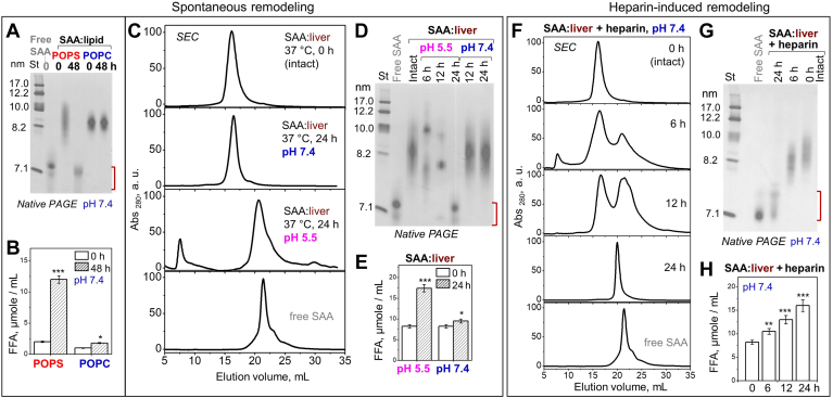 Fig. 4