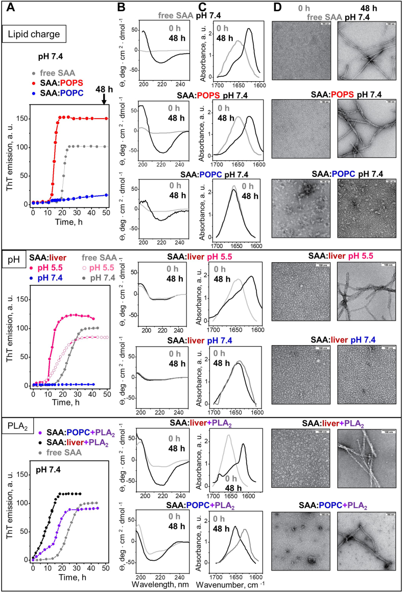 Fig. 6