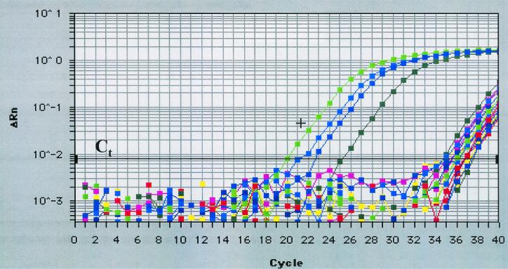 FIG. 2.