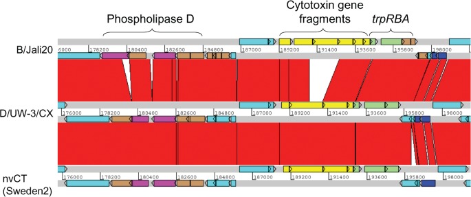 Fig. 2.