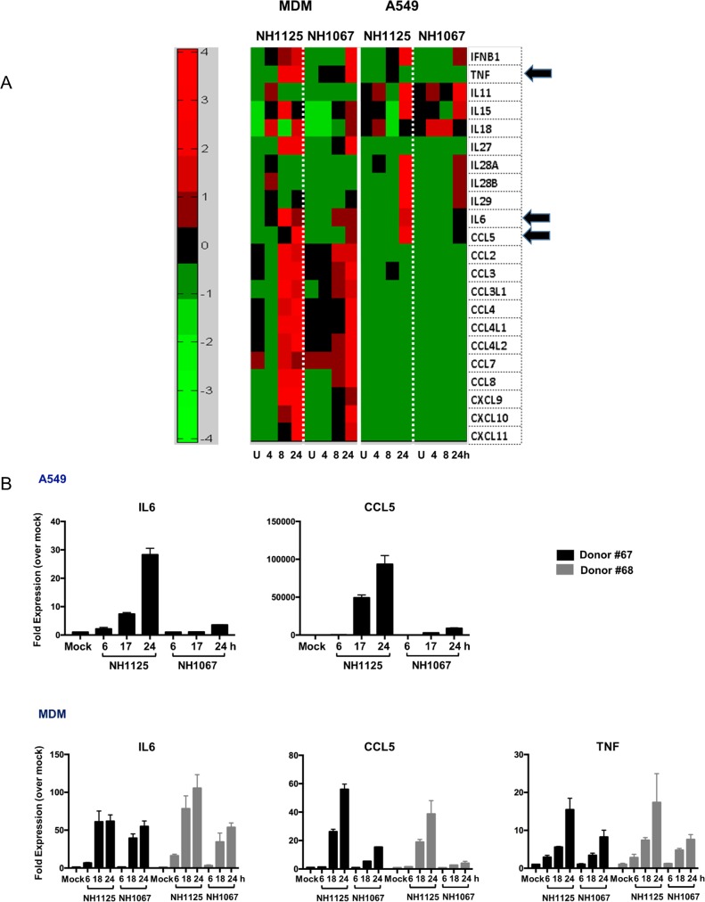 Fig 2