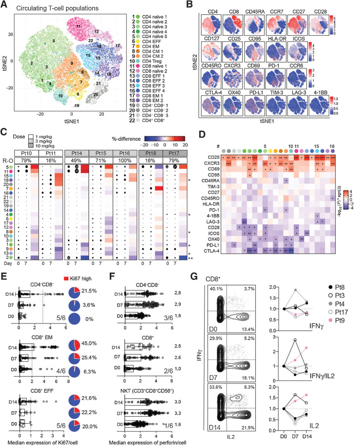 Figure 4. FP-1305 elicits activation and proliferation of circulating cytotoxic T-cells. A, tSNE plots of circulating T-cells pre-gated for viability, singlets, and CD3+ cells; 5,000 cells/sample (N = 7). CM, central memory; EFF, effector; EM, effector memory; TREG, regulatory T-cell. B, tSNE heatmaps showing expression of indicated markers on T-cell clusters of a representative patient. C, Heatmap of cluster sizes on D0 and D7. Dot size indicates the relative percent of the cluster per sample. Red color points to positive and blue to negative change between D0 and D7 samples within a patient. The asterisk indicates statistical significance of the change across all patients. D, Heatmap of marker differences between D0 and D7 samples in each T-cell cluster (N = 7); paired Student's t test (C and D). E and F, Median expression of Ki67 (E) and perforin (F) in selected T-cells from a representative patient (Pt10). Overall response across 6 patients with at least >10% increase in Ki67 and perforin is indicated in the right corner of each graph. Cutoff for Ki67high cells is depicted as a dashed line for each cell type. The median expression of perforin is indicated for each timepoint on the right side of the bars. G, Expression of IFNγ and IL-2 in PMA/ionomycin-stimulated peripheral CD8+ T-cells obtained D0, D7, or D14. Plots are shown for Pt9 (pink). *, P < 0.05; **, P < 0.01; ***, P < 0.001.