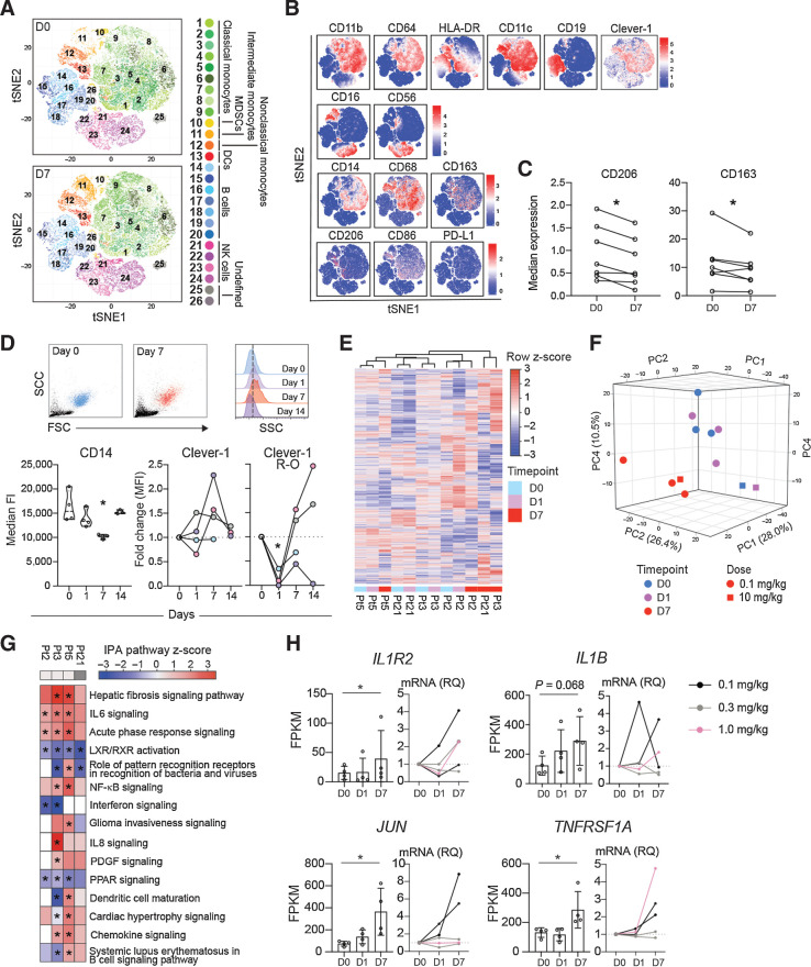 Figure 3. FP-1305 binds circulating CD14+ monocytes and suppresses LXR/RXR and PPAR signaling pathways. A, T-distributed stochastic neighbor embedding (tSNE) of CD3-excluded circulating mononuclear cells from D0 (N = 7) and D7 (N = 7) samples pre-gated for viability, singlets, and CD45+ cells. B, tSNE heatmaps showing expression of indicated markers on cell clusters of a representative patient (D0 and D7). C, Median expression of CD206 and CD163 on CD14+ monocytes on D0 and D7; paired Student's t test. D, Representative flow cytometry plots on D0 (blue) and D7 (red) showing size (FSC) and granularity (SSC) of CD14high monocytes (dashed line in half-offset histograms shows median SSC fluorescence on D0) and median expression of CD14 and Clever-1 (9-11 antibody) at different timepoints during treatment cycle 1. Pt2 (gray), Pt3 (pink), Pt5 (lilac), Pt21 (light blue). Clever-1 R-O by administered FP-1305 was detected by competitive binding of fluorochrome-conjugated FP-1305. One-way ANOVA performed between D0, D1, and D7 samples. E, Unsupervised hierarchical clustering of 13,589 genes expressed in CD14+ monocytes obtained from 4 patients across D0, D1, and D7 samples. F, Principal component analysis of patient samples across different timepoints. G, Ingenuity Pathway analysis of patient gene expression changes on D7 compared with predose (D0). Red color indicates predicted pathway activation and blue color inhibition. Light gray denotes 0.1 mg/kg dose and dark grey 10 mg/kg. H, FPKM values and qPCR validation of gene expression changes involved in relevant pathways. RNA sequenced Pt2 and Pt3 are marked in black. *, P < 0.05.