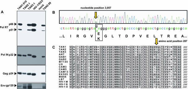 FIG. 6.