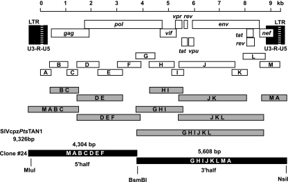 FIG. 1.