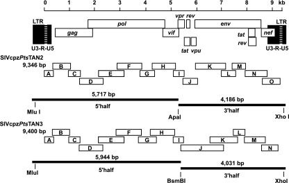 FIG. 3.