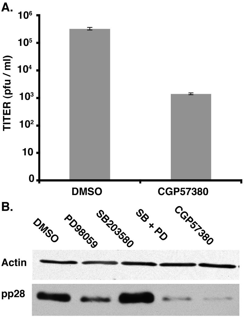 FIG. 6.