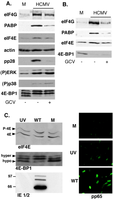 FIG. 5.