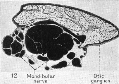 Fig. 12