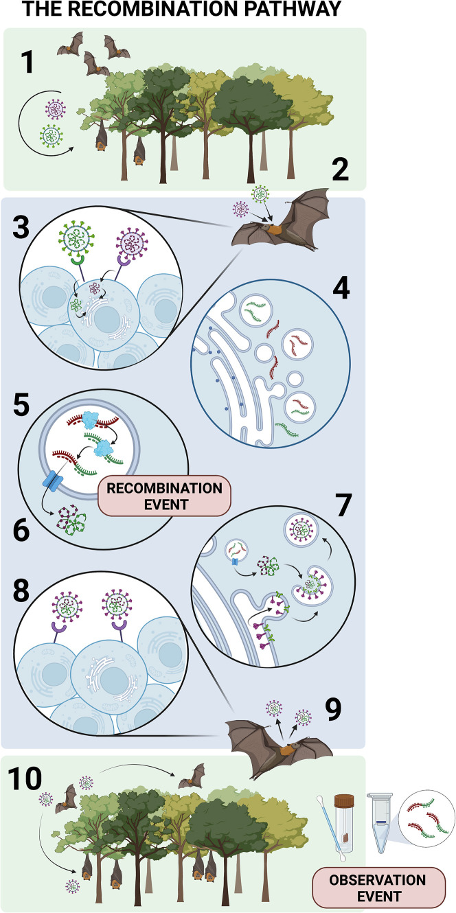 Figure 1