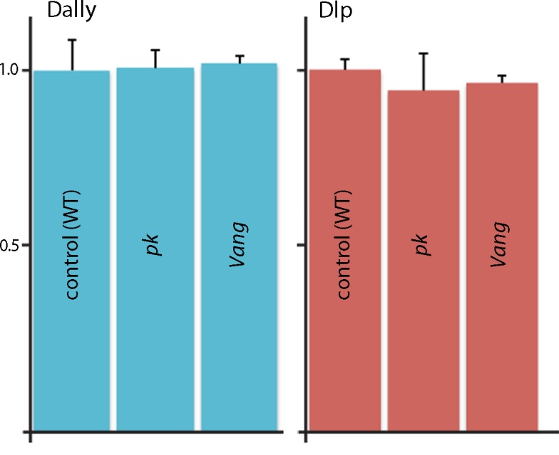 Figure 5—figure supplement 1.