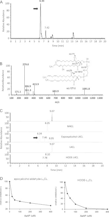 Fig. 2