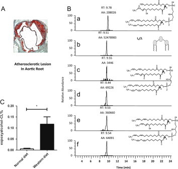 Fig. 3