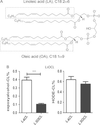 Fig. 4